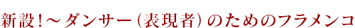 新設!〜ダンサー(表現者)のためのフラメンコクラス〜